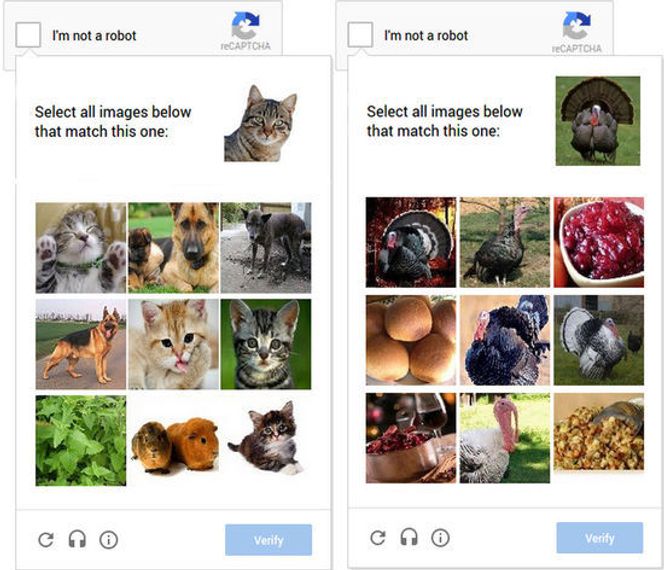 Bilde: Google