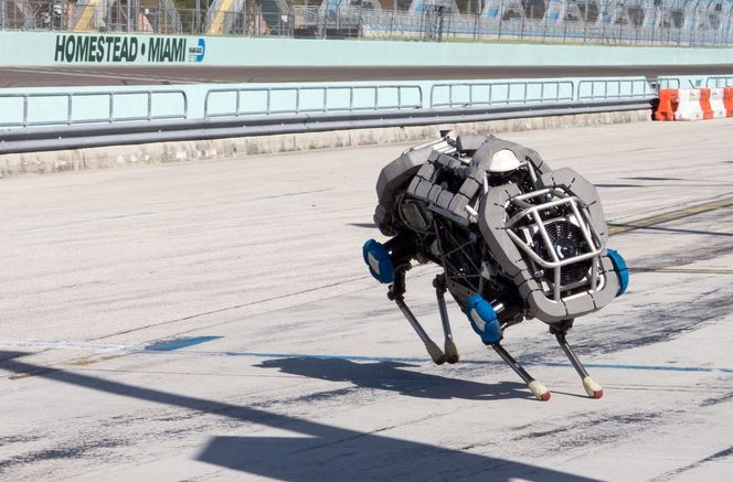 WildCat er en ny versjon av Cheetah-roboten til Boston Dynamics. Bilde: DARPA