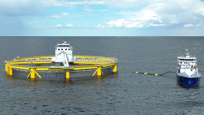 Ferdigprodusert: En brønnbåt henter laks fra merden. Fisken sendes i store slanger fra merd til båt før den fraktes til landanlegget for slakting. Foto: Ocean Farming