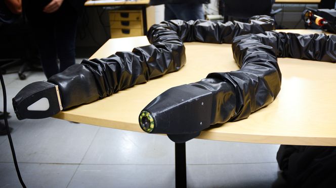 Disse to har Eelume brukt til å teste ut slangebevegelser i vann, for å lære seg hvordan robotene best skal kunne bevege seg. Bilde: Ina Steen Andersen