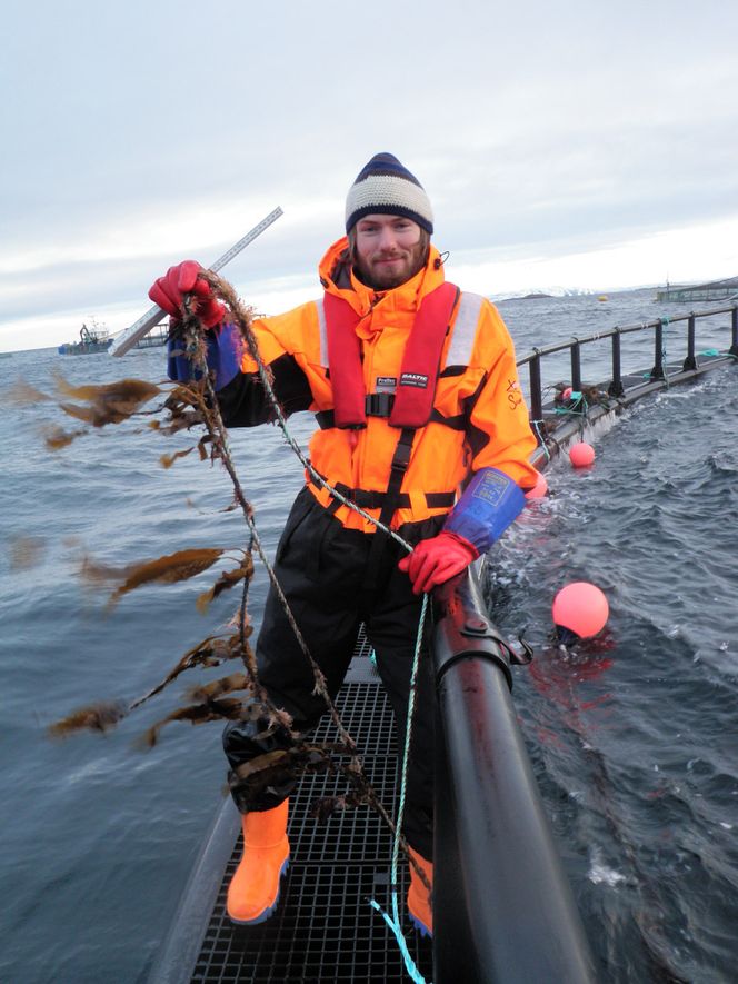 Tare-bioetanol 20 år unna: - Men på vei dit kan vi lage mange spennende produkter, mener Jon Funderud i SES. Foto: Seaweed Energy Solutions