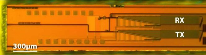 Mikroskopbilde av lidaren, som måler 0,5 x 6 millimeter. Den har styrbare sender og mottakere, og fotodetektorer av germanium. Foto: Christopher V. Poulton