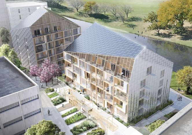 Muligheter: To plusshus skal bygges i Hjorthagen. Takene dekkes med solceller og sedum, toalettene skal spyles med regnvann. Byggene består av totalt 43 utleieleiligheter. Foto: Illustrasjon