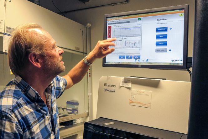Voldsom ytelse: Den siste sekvenseringsmaskinen ved UiO, som her brukes av professor Kjetill S. Jakobsen, kalles en gigabasemaskin. Det betyr at den kan sekvensere en milliard baser i løpet av et døgn. For å behandle er så stort antall kreves enorm datakraft. Foto: Bjarne Roesjoe/UiO