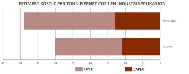 Billigere: I tillegg til å ha mindre problem med toksisitet viser beregninger at rensemetoden med kalsiumlooping i salt er billigere enn en tilsvarende prosess basert på aminer. Foto: Salcape