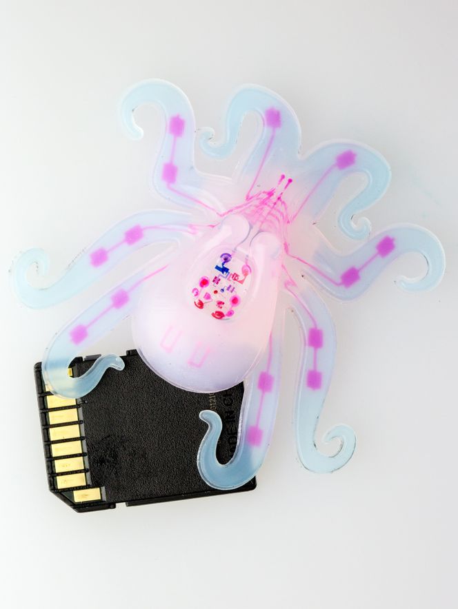 I stedet for kretskort og andre stive elektroniske komponenter bruker et pneutmatisk nettverk (rosa farge) som er bygget inn i robotens kropp og hyperelastiske aktuator-armer. SD-kortet viser størrelsen. Foto: Lori K. Sanders