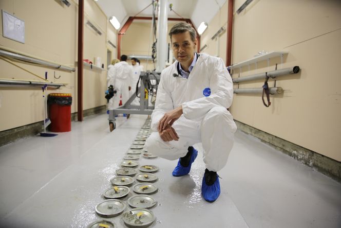 Administrerende direktør, Nils Morten Huseby i IFE, bekrefter at IFE sitter på ett tonn med brukt atombrensel av utenlandsk opprinnelse. Her fotografert i et av IFEs atomlagre Bilde:   Øyvind Lie