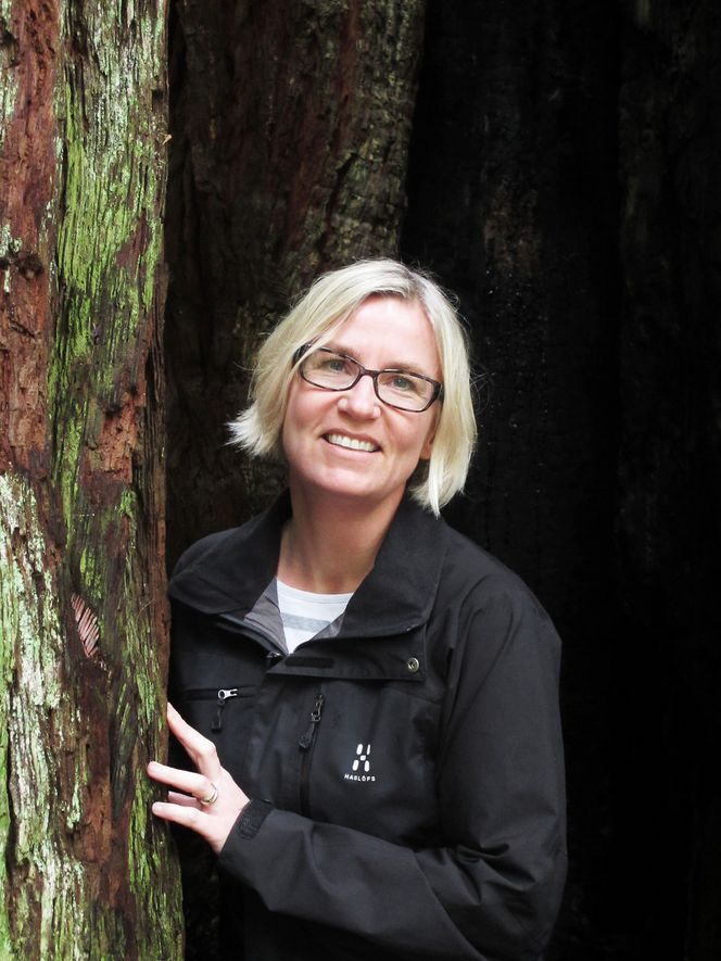 Forsker og treteknolog Lone Ross Gobakken ved Norsk institutt for bioøkonomi (Nibio). Foto: Helle Ross Gobakken.