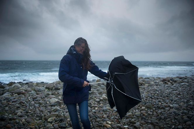 Statnett har ansvaret for sentralnettet, selve hovedpulsåren i kraftsystemet. Svikter det under en storm, risikerer store områder å bli mørklagt. Bilde: Statnett