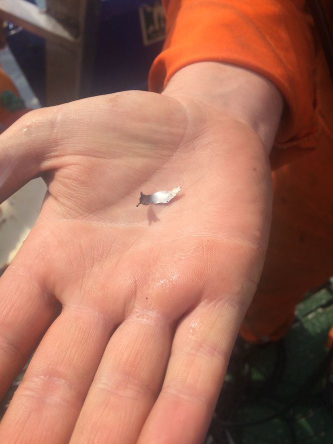 Et lite metallfragment funnet på bunnen i nærheten av der rotoren falt av. Foto: Miko Marine