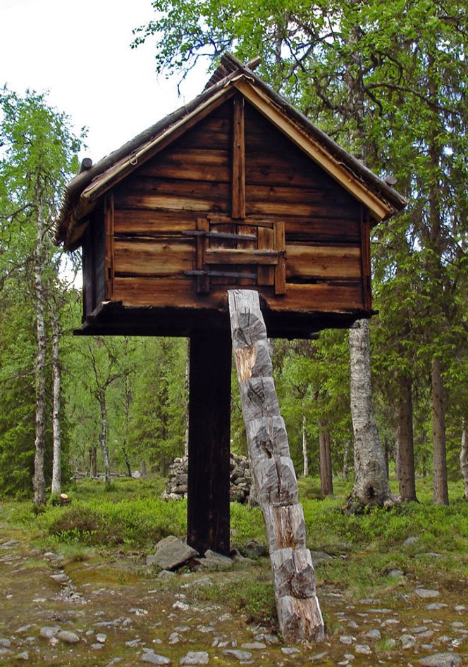 En variant av den samiske njalla. Trygg for rovdyr. Foto: Skugsfrun, Wikimedia Commons