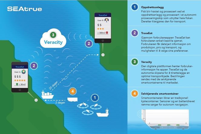 Slik vil de ni masterstudentene som har jobbet for DNV GL i sommer løse utfordringen med miljøvennlig distribusjon av sjømat.. Foto:  DNV GL