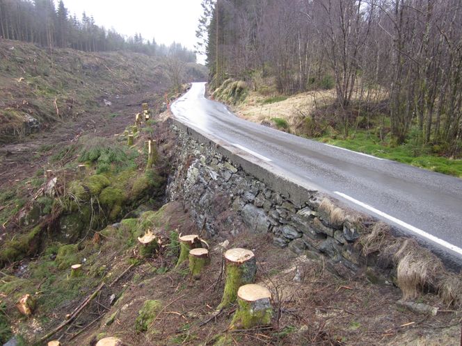 Eksempel 1. Fv 402 i Lindås kommune. Svært lav støpekant og bratt skråning/mur på utsiden av fylkesvegen. Foto: Statens Vegvesen