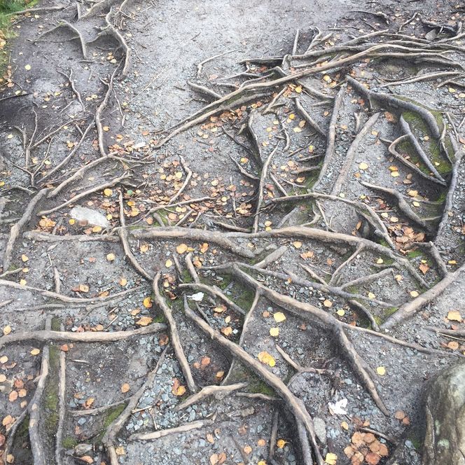 Det finnes ennå ingen definisjon på hva smartbygg er, vi bare fornemmer at det kan ha noe med energi og klima å gjøre. Det virkelig smarte er fremdeles hvordan røtter henter vann til sin vekst, hvordan en foss (Månafossen) skjærer sin vei nedover fjellsiden ved hjelp av tyngdekraften og utholdenheten og hvordan denne kraften mange steder utnyttes til å produsere strøm (se under). Det var også smart å verne denne fossen.