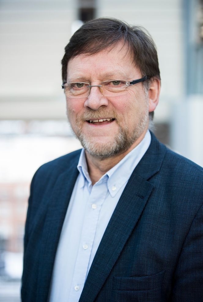 Associate Dean for EMME-programmet og professor ved Handelshøyskolen BI, Jon Lereim.