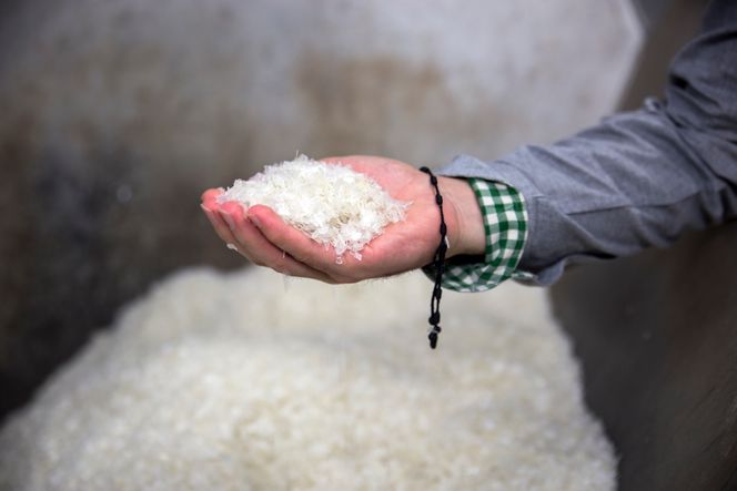 Samarbeider: Polypropylen med en renhet på 99,9 prosent er bra nok til at Ikea kan bruke det som råstoff i nye produkter. Krakken Mästerby og vannkannen PS 2002 er eksempler på Ikea-produkter laget av resirkulert polypropylen. Bilde:  Mona Strande