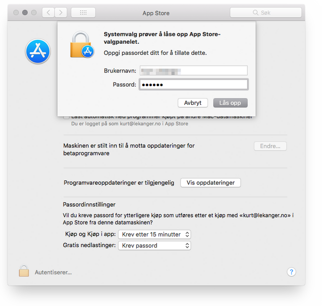 Opplåsing av App Store-valgpanelet i MacOS High Sierra kan i noen tilfeller gjøres med ethvert passord. Skjermbilde: digi.no