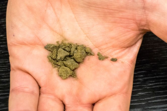 I det fremtidige deponiet vil NOAH deponere gipsen i tørr form som såkalt flterkake. Foto:  ORV