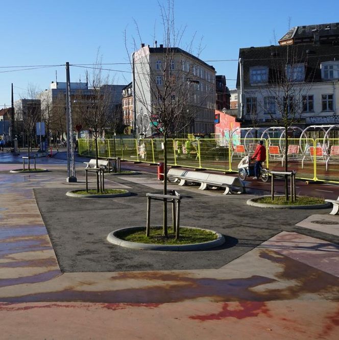 Københavns Kommune var nødt til å bytte ut trær og beplantning på Den Røde Plads, fordi det glatte underlaget ble saltet, og det salte overflatevannet rant ned i bedene og fikk trærne til å dø. Foto: Nina Errboe