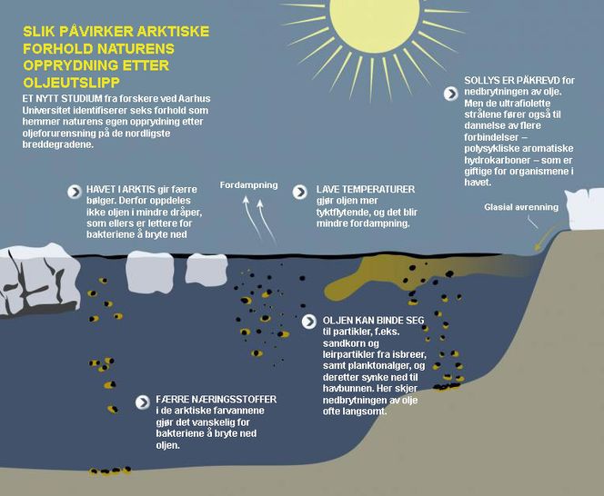 Kilde: Aarhus Universitet. Illustrasjon: Lasse Gorm Jensen/Ing.dk