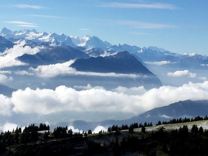 Sveits: – En dagstur jeg kan anbefale er å ta toget fra Zürich til Art og ta gondolen opp til Rigi der jeg tok dette bildet. Foto:  Privat