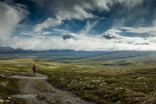 Kongeveien med Fokstua i bakgrunnen. Foto: Matti Bernitz