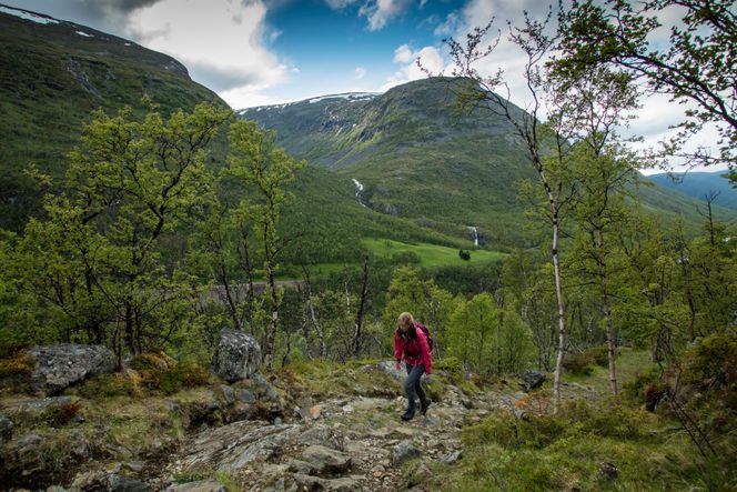 Vårstigen er en spektakulær trase, men det må gjøres en del jobb, blant annet med tørrmurene. Foto: Matti Bernitz