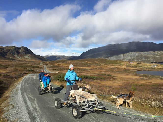 Dyrker hobbyen: Grete Aspelund takker sjelden nei til en runde med hundekjøring, som her på Beitostølen. - Jeg elsker det, og drømmer om en langtur! Foto:  Privat