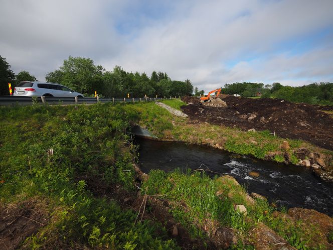 Foto: Gøran Sofienlund/Statens vegvesen