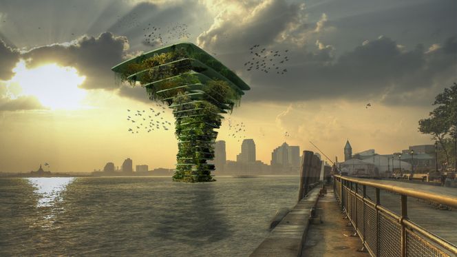 Sea tree: Flytende habitat for fugler, bier og smådyr i byer med liten plass til parker.