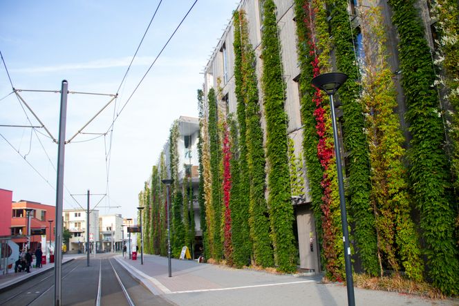 Beplantning preger bybildet. Foto:  Joachim Seehusen