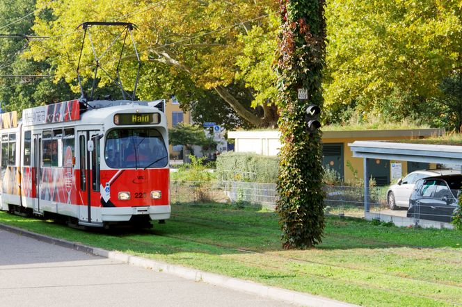 Trikkene som kjører gjennom bydelen og betjener reisende fra tre holdeplasser er tydelig mer støysvak enn ellers. Ingeniører med ekspertise innen akustikk ble brukt i planleggingen, og løsningen er like enkel som den er effektiv: Traseen er kledd med et tykt gressteppe. Kun snø virker mer dempende på støy fra trikken. Foto:   Joachim Seehusen