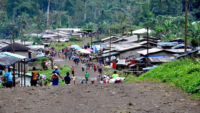 Dette er den første landsbyen, dypt inne i den kamerunske jungelen, som Sunergy har elektrifisert. Innen 2019 skal 12 av totalt 92 landsbyer ha fått strøm fra solceller. Foto:  Sunergy
