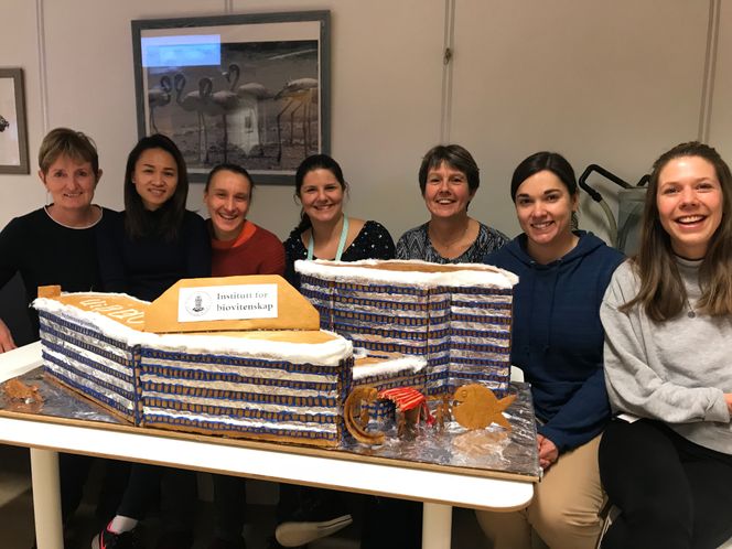 Biologer fra Institutt for Biovitenskap ved Universitetet i Bergen har bygget pepperkakeversjon av Høyteknologisenteret. Bakerne er (fra venstre): Heidi Kongshaug, Pavinee Nimmongkol, Christiane Trøsse, Else Denker, Lindsey Moore, Kathleen Frisch, Linn Knutsen. Foto:  Universitetet i Bergen