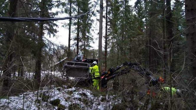 500 arbeidere fra hele landet er i sving for å rydde linjer og få strømmen tilbake hos de 8300 som fortsatt er rammet. Trolig vil det fortsatt ta over to uker før alle har lys i huset igjen. Foto:  Vattenfall