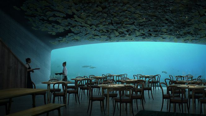 Fisk til middag? På Under er du nedsenket i verdens største akvarium. Illustrasjon: Mir og Snøhetta