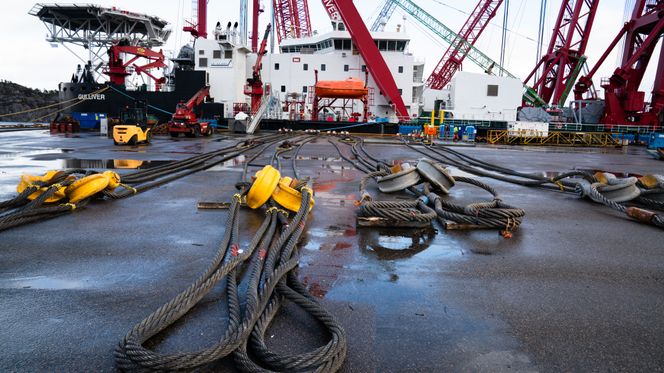 Gulliver og Rambiz på Hanøytangen 12. februar 2018. Foto:  Eirik Helland Urke