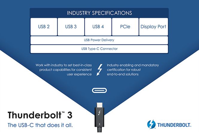 USB Type-C forener blant annet USB, PCIe, Display Port og Thunderbolt i samme plugg. Illustrasjon: Intel