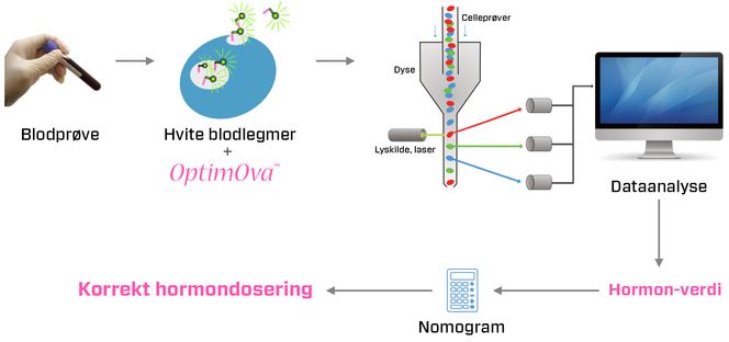 Fra blodprøven skilles hvite blodlegemer, disse blir behandlet med OptimOva før celleprøvene blir ført inn i en dyse for å bli belyst. IVF Fit har valgt å benytte flow cytometry. Dette gir et resultat i form av fluorescensintensitet som så regnes om til en hormonverdi, H-verdi på skissen. Siste trinn er at denne verdien regnes om til en anbefalt dosering gjennom en algoritme og et nomogram.