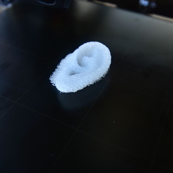 Skal det være et øre? Forsøk på rotter har vist at printing av legemsdeler ved hjelp av nanocellulose har fungert bra. Det er fortsatt noen år fram i tid før mennesker kan få 3D-printede kroppsdeler. Foto: Håvard Zeiner