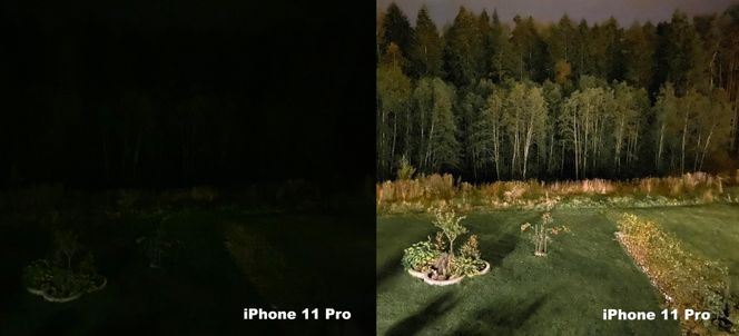 Samme bilde tatt med og uten nattmodus på iPhone 11 Pro, rundt klokken 23:00. Det var knapt mulig å se epletreet til høyre med det blotte øye. På bildet har til og med fargen på eplene kommet frem.