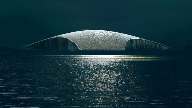 Det er liten tvil om hvilket dyr vinnerbygget er inspirert av. Illustrasjon:  Dorte Mandrup / The Whale
