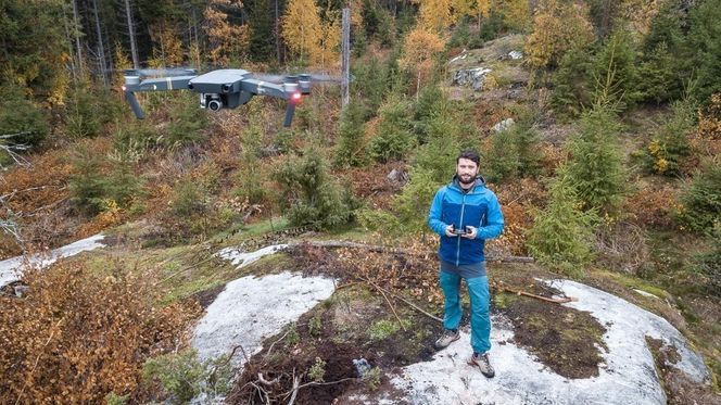Nibio bruker drone for å sjekke hvordan juletreet tilpasser seg klimaet. Foto: Håvard Zeiner