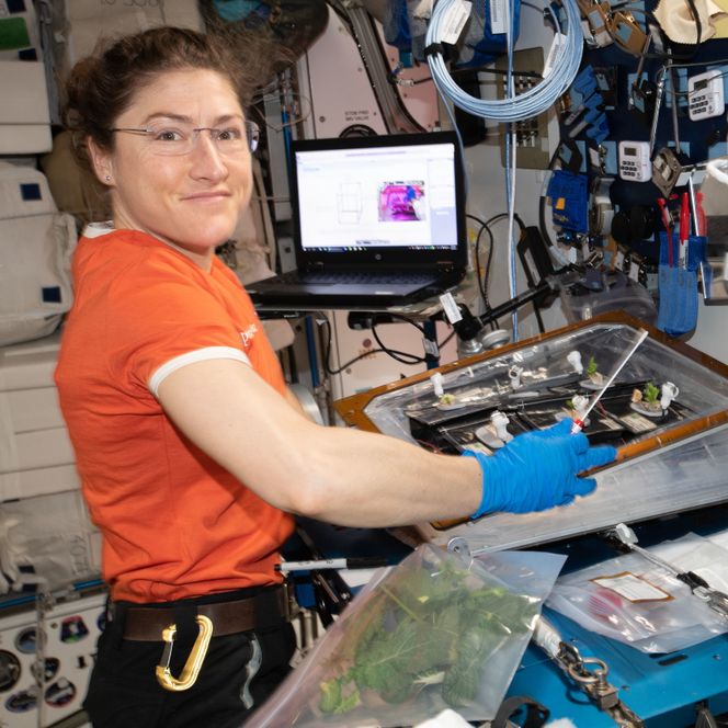 Christina Koch utførte botaniske forsøk inne på ISS. Bildet er tatt 6. april 2019. Foto: Nasa