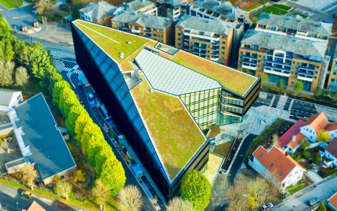 Sedumtak: Taket er dekket av sedum. Det er høyest med sju etasjer mot nord, mens bygget skråner nedover mot trehusbebyggelsen i sør. Foto:  3D4D.NO/SPAREBANK 1 SR-BANK 