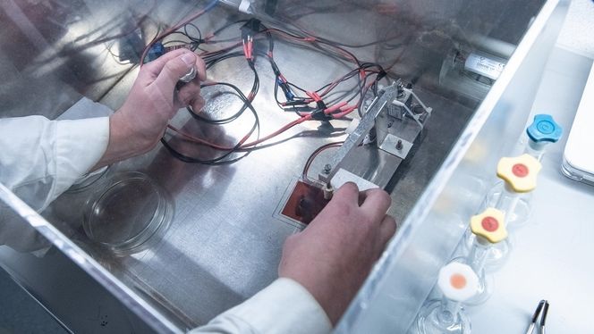 NTNU fortsetter å forske på denne teknologien selv om andre solceller er mer effektive for utendørs bruk. Innendørs finnes et marked. Foto: Nils Heldal, NTNU