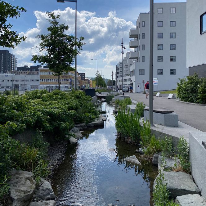 OVERVANNSTILTAK: Åpning av Hovinbekken på Ensjø. Bilde:  Oslo Kommune