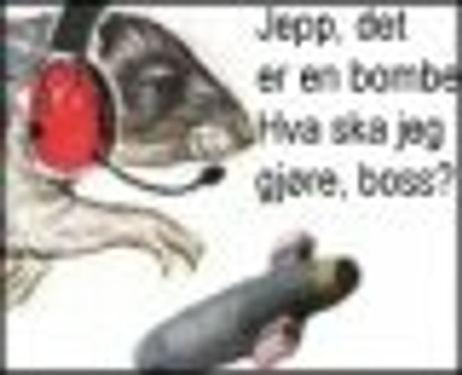 Rotte fikser bombe.