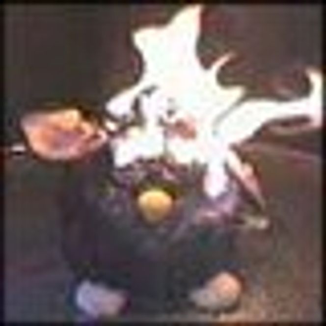 Furby brenner etter kontakt med 20.000 volt. Ikke spesielt hyggelig, nei. Foto: VoltNet.com
