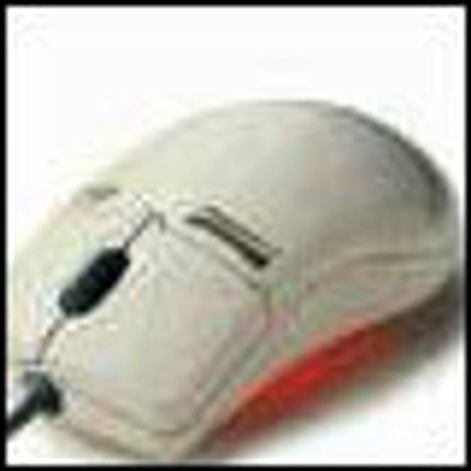 Microsoft Intellimouse.
